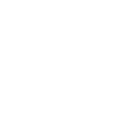 Icone Facebook