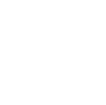 Icone Instagram